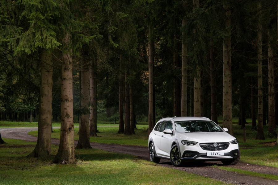  Vauxhall Insignia Country Tourer Turbo D 4x4 2017 года  (фото 19 из 21)